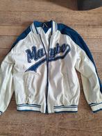 Baseball jack maat L, Kleding | Dames, Berschka, Wit, Maat 42/44 (L), Nieuw