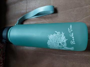 Bodhi tree bidon beschikbaar voor biedingen