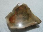 Versteend hout (10), Ophalen of Verzenden, Mineraal