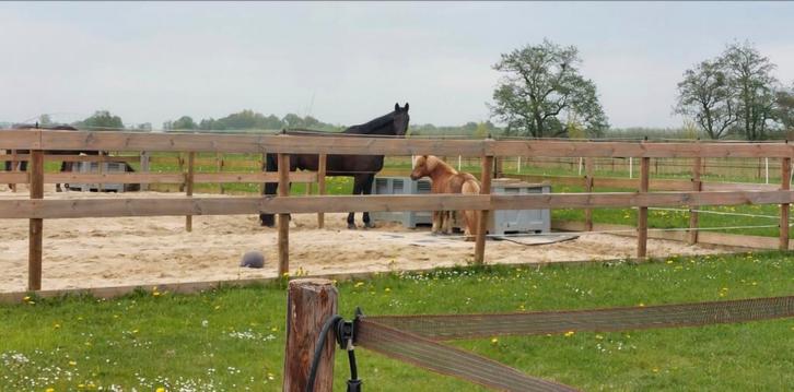 Stalling aan huis Tull en 't Waal, Dieren en Toebehoren, Paarden en Pony's | Overige Paardenspullen, Ophalen of Verzenden