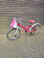 Kinderfiets 20 inch, Fietsen en Brommers, Ophalen, Gebruikt, 20 inch of meer, Btwin Decathlon