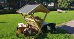 hooiruif, Dieren en Toebehoren, Overige Dieren-accessoires, Ophalen of Verzenden, Nieuw