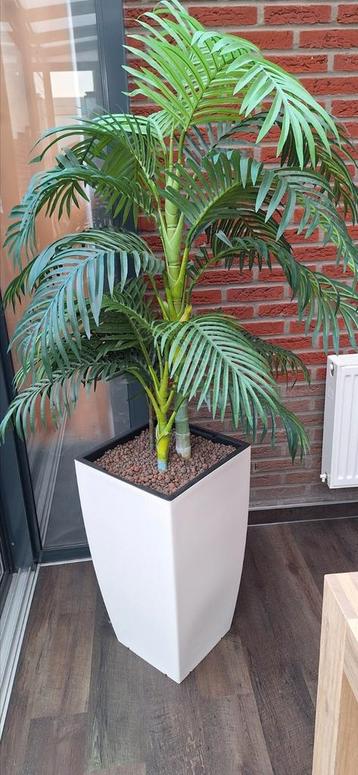 Kunstplant met pot beschikbaar voor biedingen