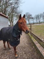 Bijrijder gezocht omgeving Veenhuizen., Ophalen of Verzenden, Nieuw
