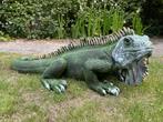 (Tuin)Beeld Leguaan, tuin, zwembad, vijver, salamander 100cm, Ophalen, Nieuw, Kunststof, Dierenbeeld