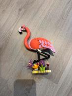 Lego flamingo, Ophalen