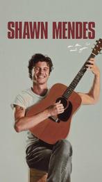 2 Zitplekken Shawn Mendez - Vak 111 Ziggo Dome Amsterdam, Twee personen, Augustus