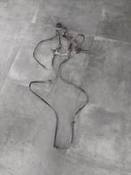 Hoofdstel, Dieren en Toebehoren, Ophalen of Verzenden