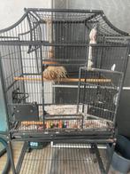 Papegaai kooi, Ophalen of Verzenden, Gebruikt, Metaal, Vogelkooi