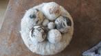 Wol, tafel decoratie, krans/mand met 7 losse vilt wol bollen, Verzenden, Nieuw, Versiering, Wolvilt