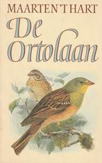 De ortolaan – Boekenweekgeschenk 1984, Ophalen of Verzenden, Gelezen, Maarten 't Hart