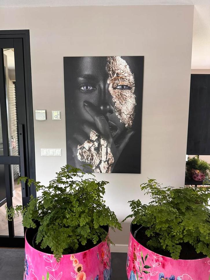 Hoe geweldig is dit groot schilderij 120 x 80 cm groot, Antiek en Kunst, Kunst | Schilderijen | Abstract, Ophalen of Verzenden