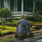 Hondenbuggy hondenkar nieuw, Ophalen of Verzenden, Nieuw