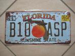 US license plate Florida - Sunshine State, Verzenden, Nieuw, Auto's