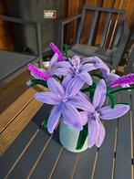 Bloemen met pot, Ophalen, Nieuw, Binnen