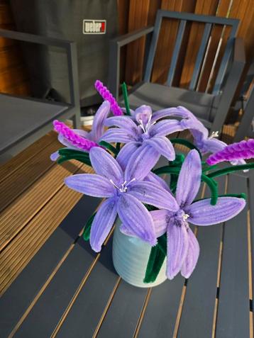 Bloemen met pot beschikbaar voor biedingen