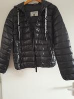 Terranova slim gewatteerde jas maat m, Kleding | Dames, Maat 38/40 (M), Zwart, Ophalen of Verzenden, Terranova