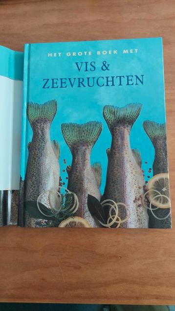 Vis & Zeevruchten Kookboek - Prachtige Staat beschikbaar voor biedingen