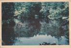 OLTERTERP Vijver in 't Bosch (slappe kaart gr.f.), Verzenden, 1940 tot 1960, Ongelopen, Friesland
