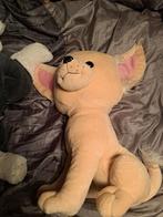 Gr hond klein gatje op zijn hooft, Ophalen of Verzenden, Hond