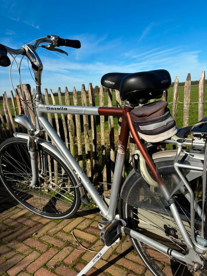Gazelle Chamonix herenfiets, Fietsen en Brommers, Fietsen | Heren | Herenfietsen, Gebruikt, Gazelle, 61 tot 65 cm, Versnellingen