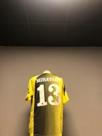 Matchworn fc Twente, Ophalen of Verzenden, Zo goed als nieuw, F.C. Twente, Shirt