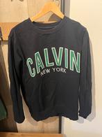 Calvin Klein Jeans Trui - Maat M, Ophalen of Verzenden, Zo goed als nieuw, Maat 38/40 (M), Zwart