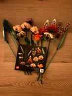 Lego Botenicals - Bloemenboeket - 10280, Kinderen en Baby's, Speelgoed | Duplo en Lego, Ophalen, Zo goed als nieuw, Complete set