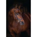 Rambo Micklem Deluxe Competition Bridle Dark Havanna, Dieren en Toebehoren, Ophalen, Gebruikt