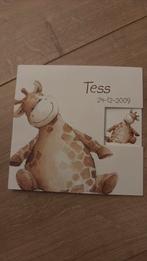 Tess, Ophalen of Verzenden, 2000 tot heden