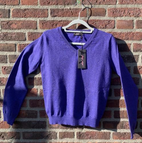 Sarah Chole / Trui / Maat M - 38, Kleding | Dames, Truien en Vesten, Zo goed als nieuw, Maat 38/40 (M), Paars, Ophalen of Verzenden