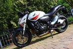 Honda HORNET CB 600 F | CB600F Edition (bj 2010), Motoren, 4 cilinders, Particulier, Meer dan 35 kW, 599 cc