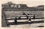 Vries - Kolonie Filadelfia - gebouwen met tuinbouw, Ophalen of Verzenden, 1920 tot 1940, Gelopen, Drenthe