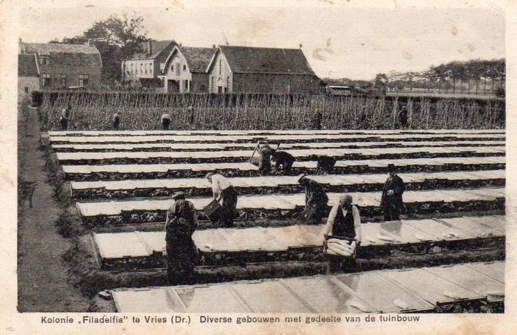 Vries - Kolonie Filadelfia - gebouwen met tuinbouw, Verzamelen, Ansichtkaarten | Nederland, Gelopen, Drenthe, 1920 tot 1940, Ophalen of Verzenden