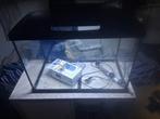 Complete superfish aquarium 60x40x30 [70liter], Dieren en Toebehoren, Vissen | Aquaria en Toebehoren, Ophalen, Zo goed als nieuw