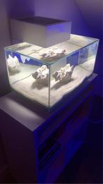 5.5 gal 20L (vraag voor lagere prijs), Dieren en Toebehoren, Vissen | Aquaria en Toebehoren, Ophalen of Verzenden, Zo goed als nieuw