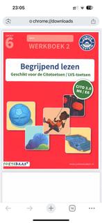 Junior Einstein begrijpend lezen groep 6 werkboek 2 pdf, Boeken, Ophalen of Verzenden, Zo goed als nieuw, Overige niveaus, Nederlands