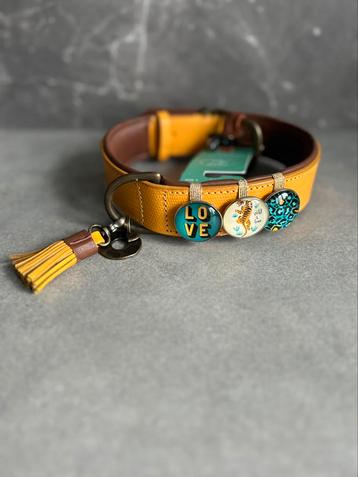 Dog with a mission halsbanden maat XL beschikbaar voor biedingen