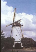 Halsteren - Molen, Verzamelen, Ansichtkaarten | Nederland, Ophalen of Verzenden, Ongelopen