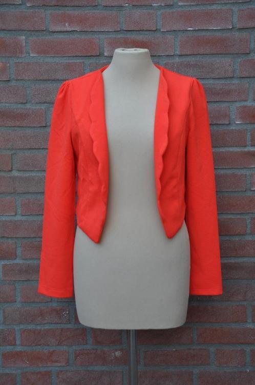 blazer M,38. jasje m, 38, rode blazer m,Donna li m, 38, Kleding | Dames, Jasjes, Kostuums en Pakken, Nieuw, Jasje, Maat 38/40 (M)