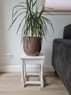 Pantentafeltje oud roze, Huis en Inrichting, Ophalen of Verzenden, Gebruikt