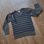 trui mt. 110/116 WE, Kinderen en Baby's, Kinderkleding | Maat 110, WE, Trui of Vest, Ophalen of Verzenden, Zo goed als nieuw