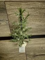 Lemax prachtige boom kerstdorp kersthuisjes, Diversen, Ophalen of Verzenden, Zo goed als nieuw