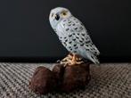Uil op tak, Verzamelen, Beelden en Beeldjes, Ophalen of Verzenden, Zo goed als nieuw, Dier