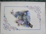 Originele vogel kaarten (3D)\, Ophalen, Nieuw, Dieren