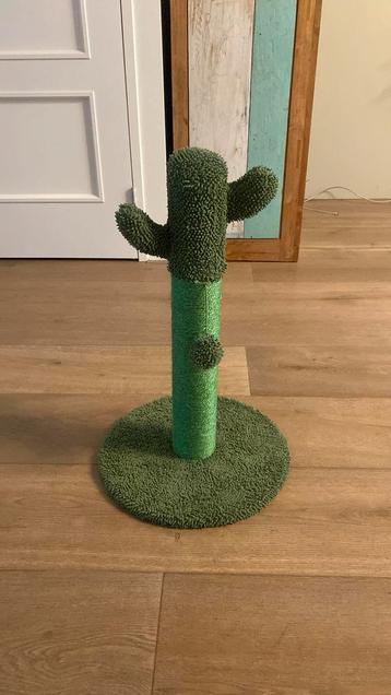 Cactus krabpaal beschikbaar voor biedingen