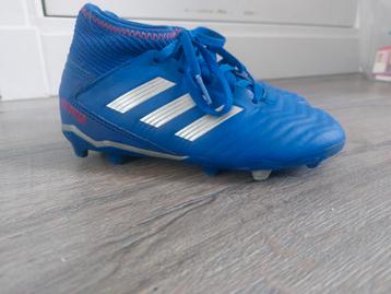 Adidas Predator maat 31 beschikbaar voor biedingen