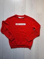 Formule 1 sweater in nieuwstaat maat 146, Trui of Vest, H&M, Ophalen of Verzenden, Zo goed als nieuw