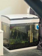 Aquarium met filter “Superfish”, Dieren en Toebehoren, Vissen | Aquaria en Toebehoren, Ophalen of Verzenden, Zo goed als nieuw