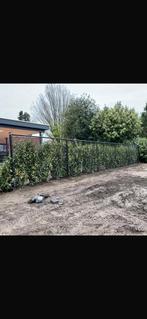 Gaashekwerk zwart, Tuin en Terras, Tuinhekken en Hekwerk, Ophalen of Verzenden, Zo goed als nieuw, IJzer
